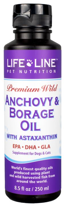 anchovies_bourragehuile